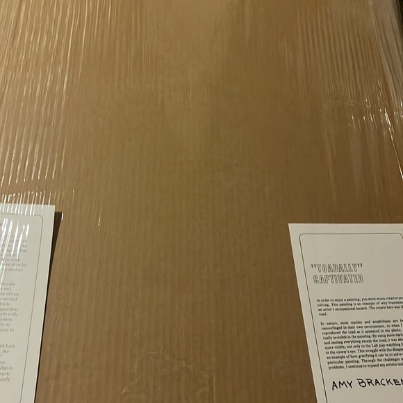 🖼️ 🐶 🖼️• 💎 AMY BRACKENBURY x 🐸 “Toadally” Vibes - Picture 16 of 16